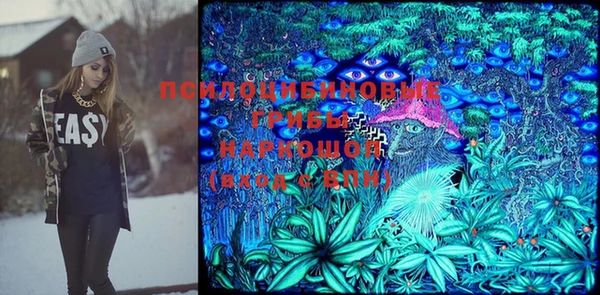 метадон Алексин