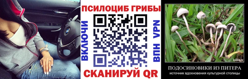 как найти закладки  Спасск  мега сайт  Галлюциногенные грибы MAGIC MUSHROOMS 