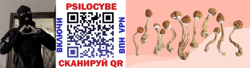 Галлюциногенные грибы Psilocybine cubensis Спасск